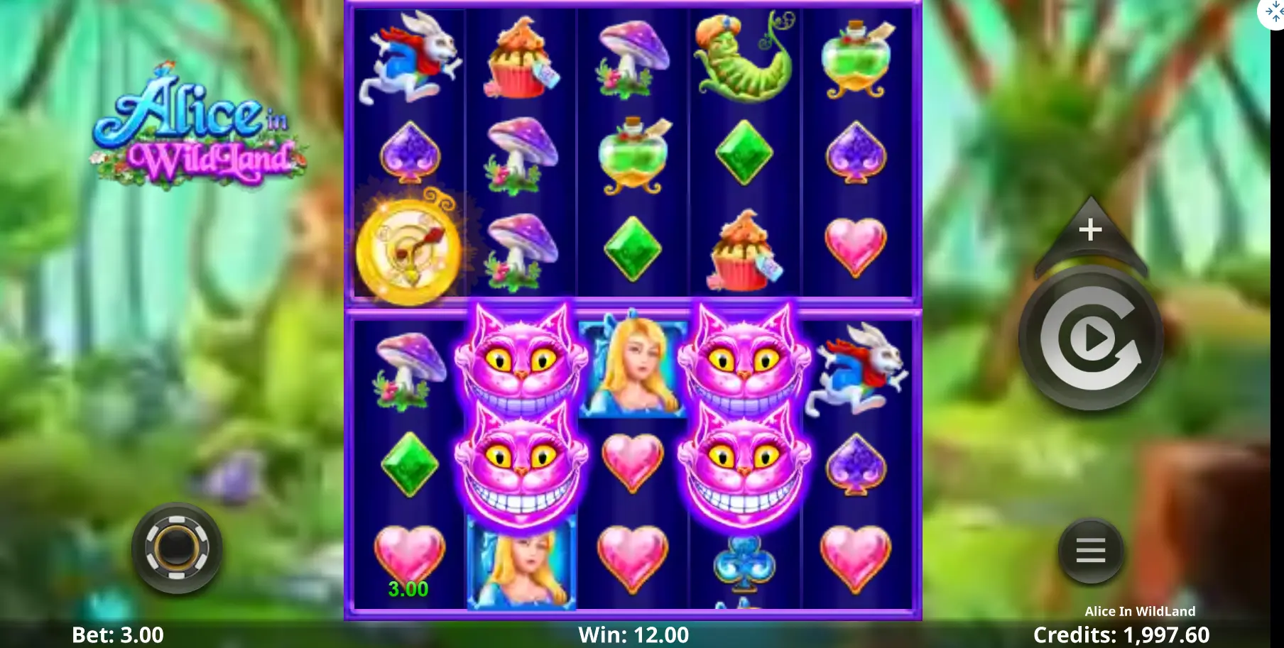 Alice in Wildland review Alice in Wildland slot